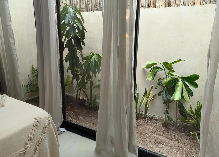 Apartment Osmanthus Private