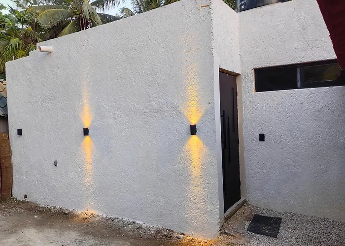 Osmanthus Private * Punta Allen